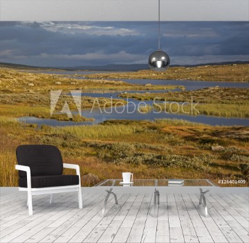Picture of River through tundra in high Hardangervidda Norwegian plateau